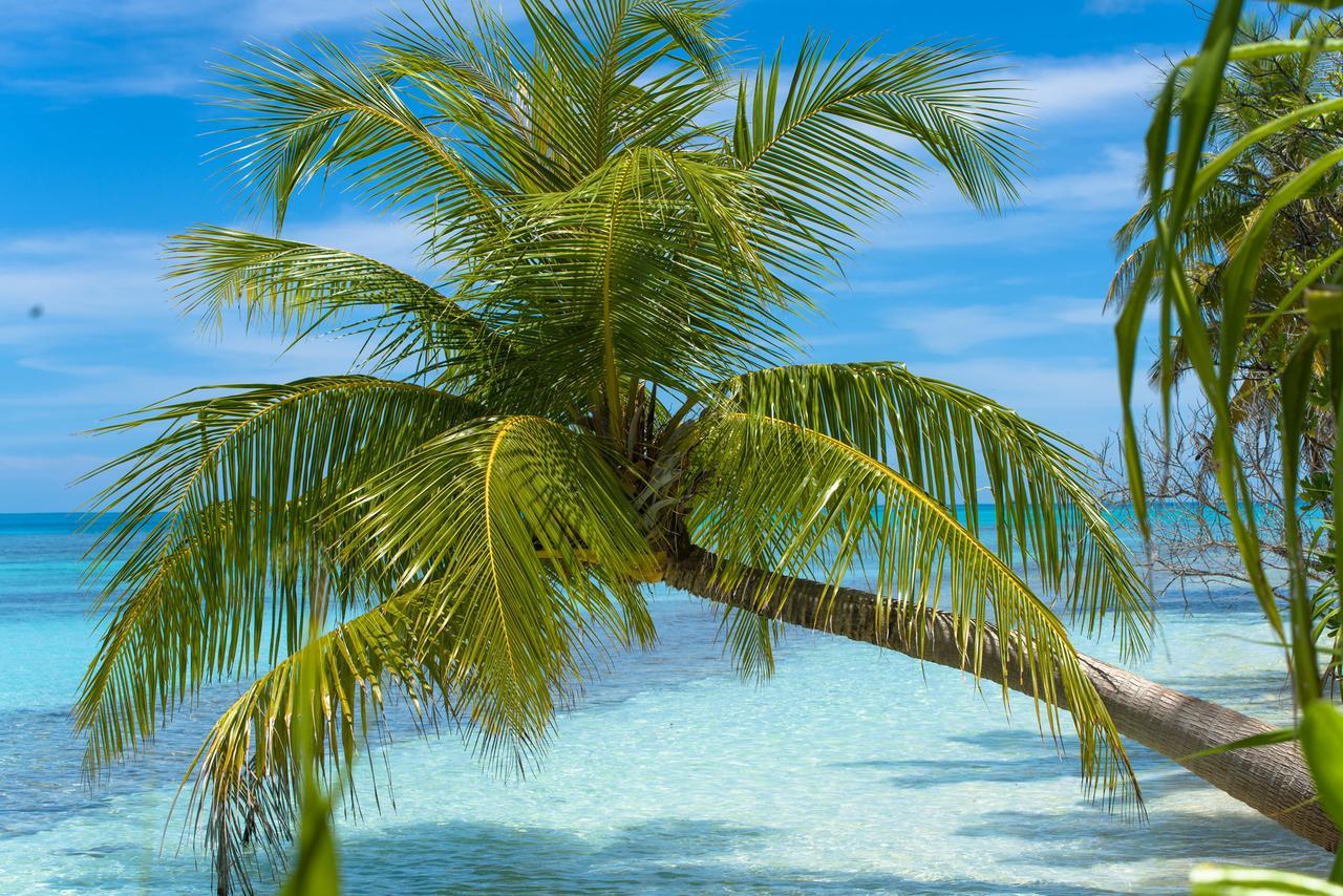 Dhiguveli Maldives Hotel Dhigurah  Bagian luar foto